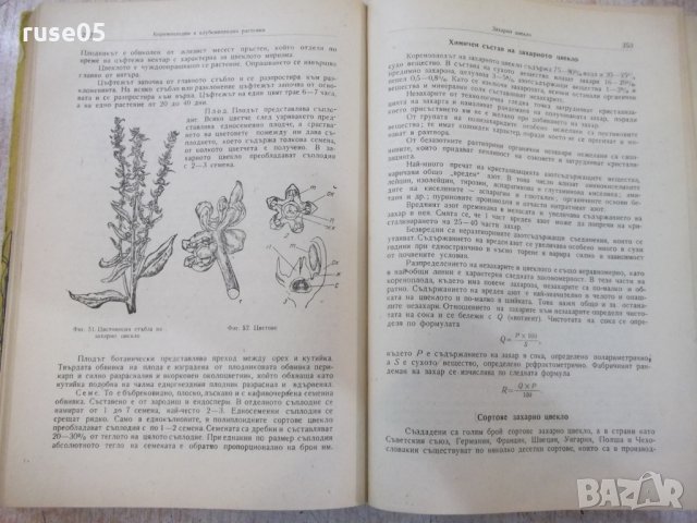 Книга "Растениевъдство - Христо Коеджиков" - 516 стр., снимка 5 - Учебници, учебни тетрадки - 29048044