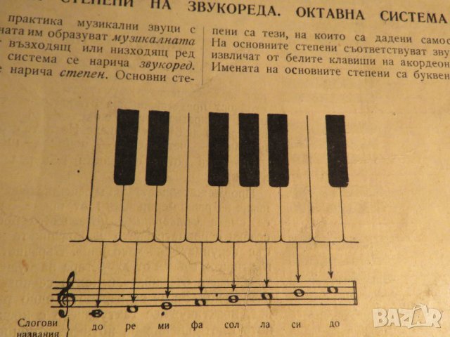 Стара Школа за акордеон, учебник - Курс за изучаването свиренето на акордеон - издание 60те г., снимка 5 - Акордеони - 35659897