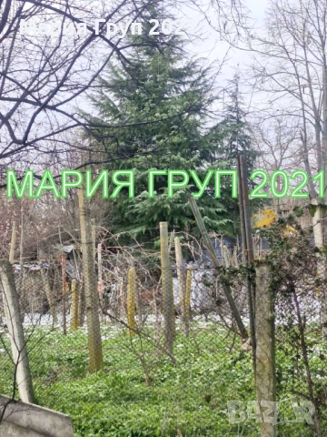 !!!ТОП ОФЕРТА!!!Продавам Едноетажна Къща в село Златна Ливада община Чирпан!!!, снимка 7 - Къщи - 53163595