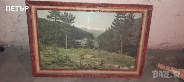 Ретро Картина.В много добро състояние.