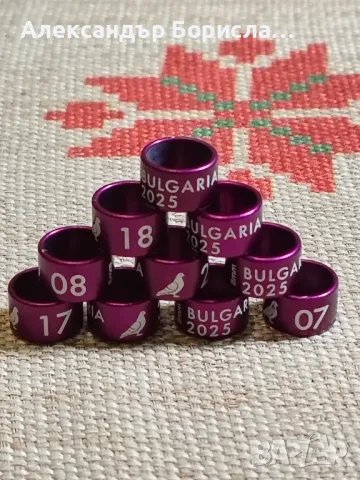 Пожизнени пръстени за 2025 г., снимка 6 - За птици - 48763435