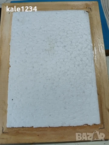 Пеперуди. Препарирани. Рамка. Естествени. Пеперуда , снимка 8 - Други - 50602532