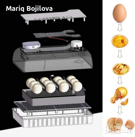 Автоматичен инкубатор за 12 яйца – Лесен за употреба YZ9-12, снимка 4 - Друга електроника - 48883331