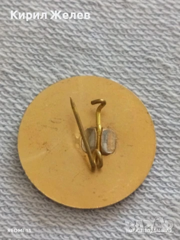 Лот значки 6 броя стари редки АЛЕКСАНДЪР НЕВСКИ,ЛЕНИН, СЕВАСТОПОЛ за КОЛЕКЦИЯ ДЕКОРАЦИЯ 26428, снимка 7 - Колекции - 50862067