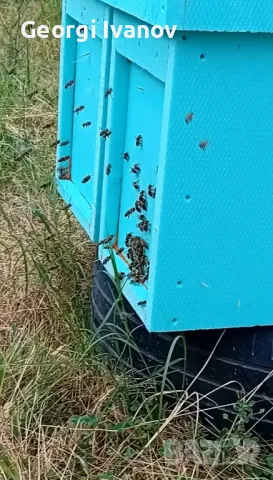 Нуклеуси от фибран 