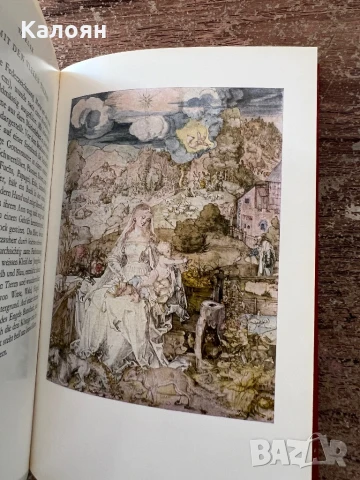 Книга за Албрехт Дюрер - акварели и рисунки на немски , снимка 12 - Специализирана литература - 51009336