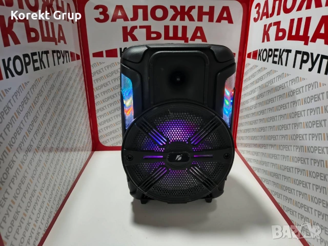 Караоке активна колона с bluetooth,usb KTS 1175 
