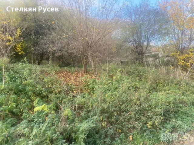 терен / градина / имот / парцел 1620кв.м в с. Ветрен / обл. Силистра - цена 16 600лв - двор 1620кв С, снимка 6 - Парцели - 49801432