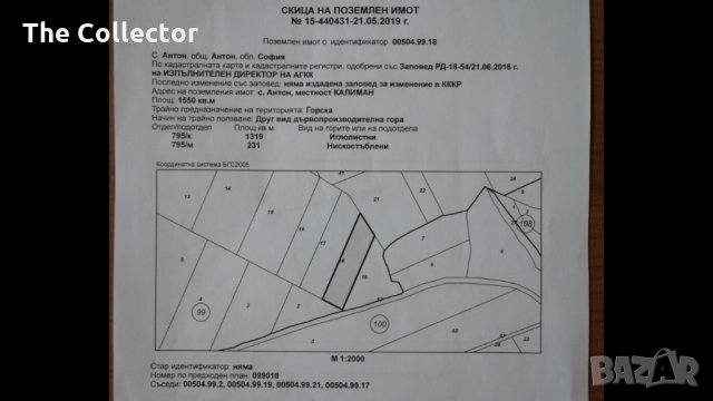 Продават се гори и земи в село Антон, снимка 5 - Земеделска земя - 26467555