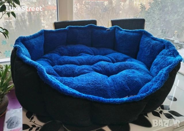 Кучешки и Котешки Легълца🐕🐈, снимка 10 - За кучета - 52426976