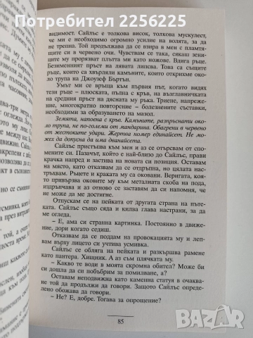 Тежки са камъните, снимка 2 - Художествена литература - 52708006