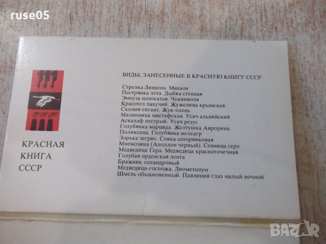 Лот от 16бр. картички на насекоми от червената книга на СССР, снимка 4 - Други ценни предмети - 35626260