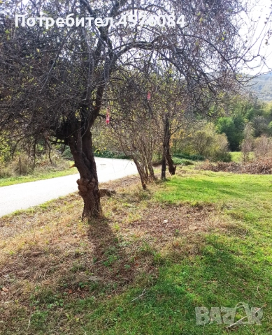 Продавам имот в гр. Берковица, снимка 3 - Парцели - 51493622