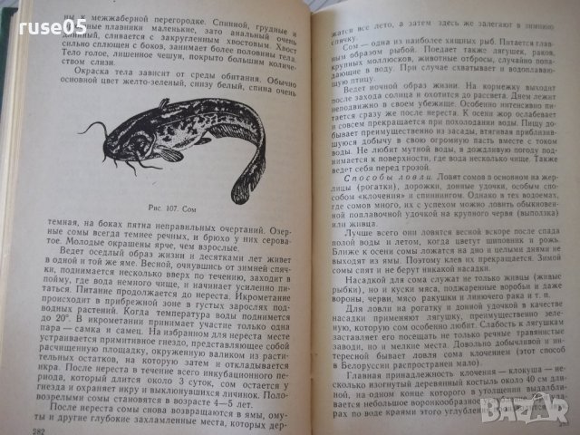 Книга "Справочник охотника и рыболова-Сборник" - 424 стр., снимка 8 - Специализирана литература - 37898989