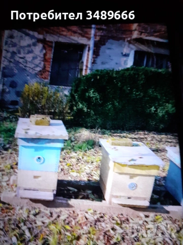 Пчелни кошери , снимка 3 - За пчели - 53299611