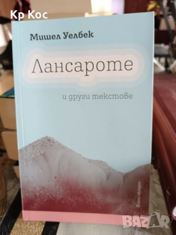 Книги на Мишел Уелбек, снимка 13 - Художествена литература - 53114174