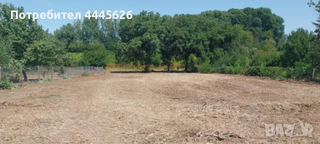 Собственик продава УПИ в с. Ряхово - до р. Дунав, снимка 4 - Парцели - 51675335