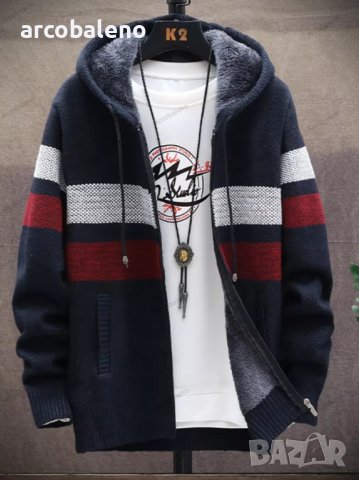 Мъжко есенно-зимно яке с качулка, 5цвята  , снимка 11 - Якета - 39241374