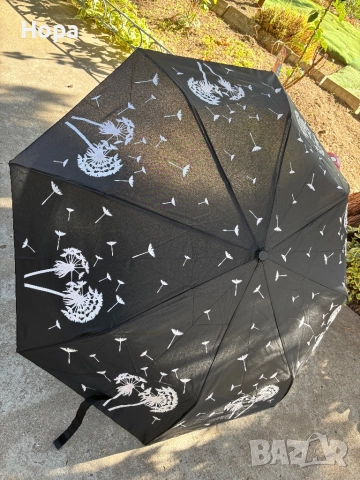 Магически чадъри с глухарчета, снимка 10 - Други - 52299479