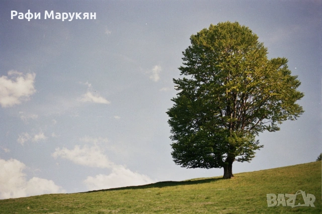 Филмовият "OLYMPUS OM-101" с об. "Zuiko 3,5-4,5/35-70 mm, снимка 5 - Фотоапарати - 53480806