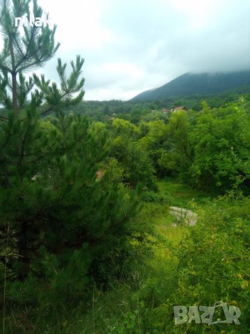 Продавам парцел в село Краево област София, на 20 километра от Ботевград , снимка 9 - Парцели - 39934050