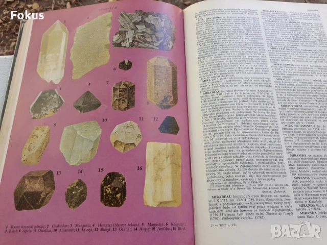 СТАРА НЕМСКА ЕНЦИКЛОПЕДИЯ КНИГА СПРАВОЧНИК КАТАЛОГ, снимка 7 - Антикварни и старинни предмети - 53512373