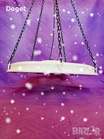 Полилей, снимка 5 - Полилеи - 52632327