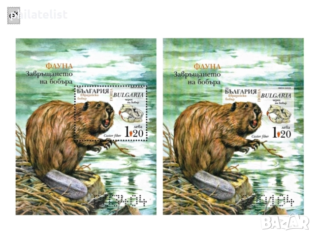 България 2025 - Евразийски бобър - 2 блока MNH, снимка 2 - Филателия - 52797678
