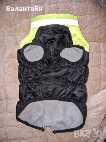 Яке за куче среден размер , снимка 5 - За кучета - 43222033