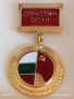 Значка за АКТИВНА ДЕЙНОСТ ЗЛАТНА рядка в кутия за КОЛЕКЦИЯ 51294, снимка 4