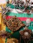 Брошки, снимка 10