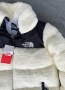 Мъжко зимно яке The North Face/BR118m, снимка 3