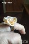Руски Позлатена гривна с порцелан и пръстени, снимка 11