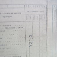 Стар документ Планово нарядна книга на стопанина 1949 , снимка 3 - Колекции - 27788026