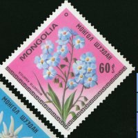  Сет 7 марки Цветята на Монголия,Монголия, 1979, ново, минт, снимка 3 - Филателия - 27982678