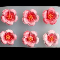 6 цветчета Вишнев цвят силиконов молд форма фондан украса декор торта, снимка 1 - Форми - 33408122
