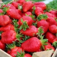 продавам расад ягоди и малини, снимка 2 - Разсади - 32538585