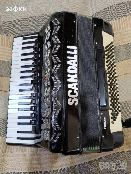 Акордеон, снимка 1