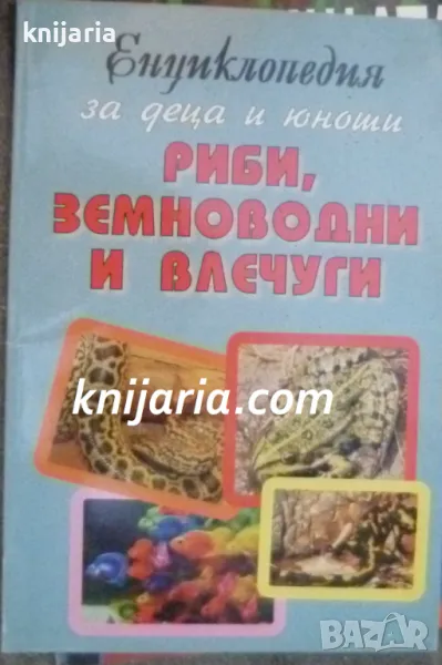 Енциклопедия за деца и юноши: Риби, земноводни и влечуги, снимка 1