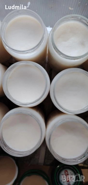 Свинска мас, снимка 1