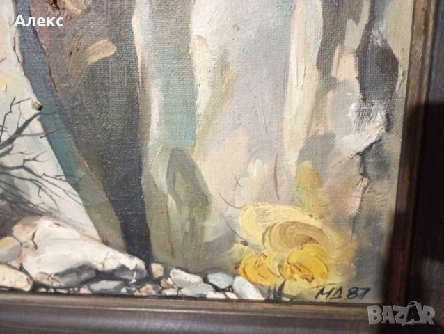 Мая Дочева!, снимка 3 - Картини - 52895090