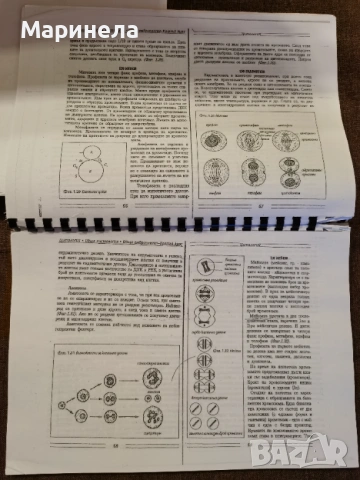 Съкратени теми по цитология за МУ , снимка 2 - Учебници, учебни тетрадки - 53418348