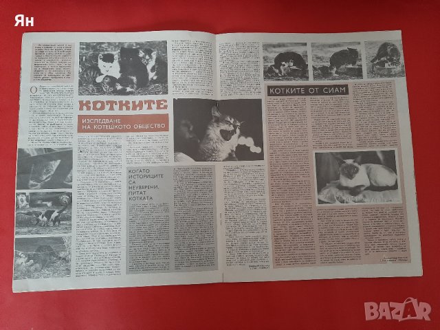 Списание БТА Паралели-КОТКИТЕ-1989г. , снимка 2 - Други ценни предмети - 43223845