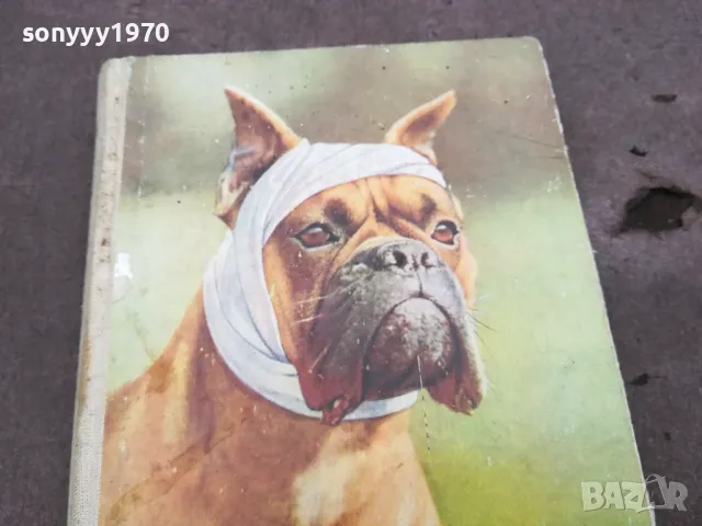 ABC DER HUNDEKRANKHEITEN 0302251439, снимка 5 - Специализирана литература - 48942670