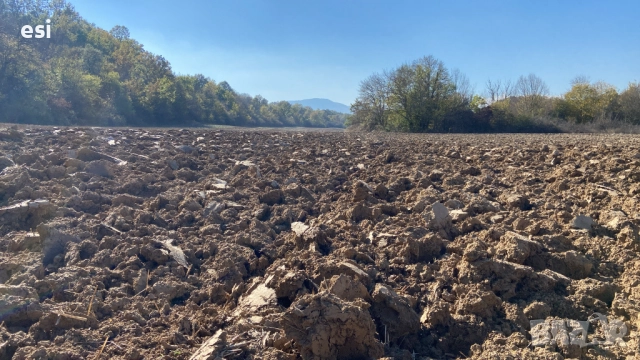 100 ЛВ/ДКА - Земеделски Земи в област Варна, снимка 3 - Земеделска земя - 52516317