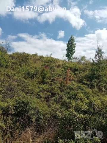 Продавам поземлен имот, снимка 2 - Земеделска земя - 51466985