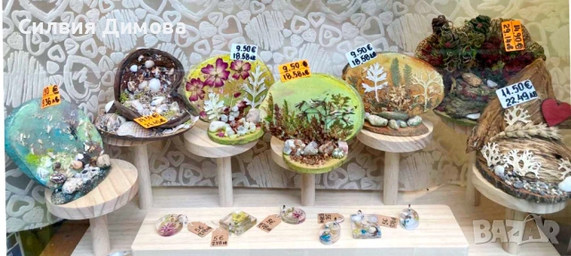 Сувенир за подарък, уют в дома или късче природа за офиса 😉