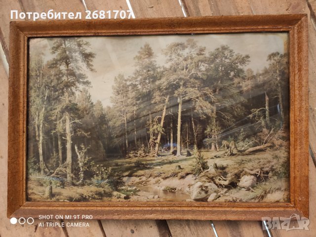 Стара картина