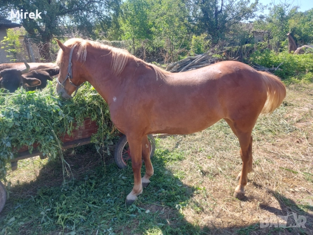 за продажба