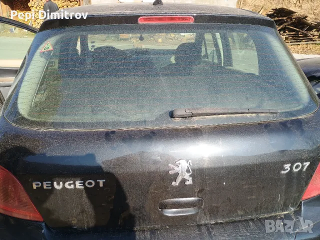 Багажник Петта врата за за Peugeot 307 Hatchback (08.2000 - 12.2012), снимка 2 - Части - 47916009